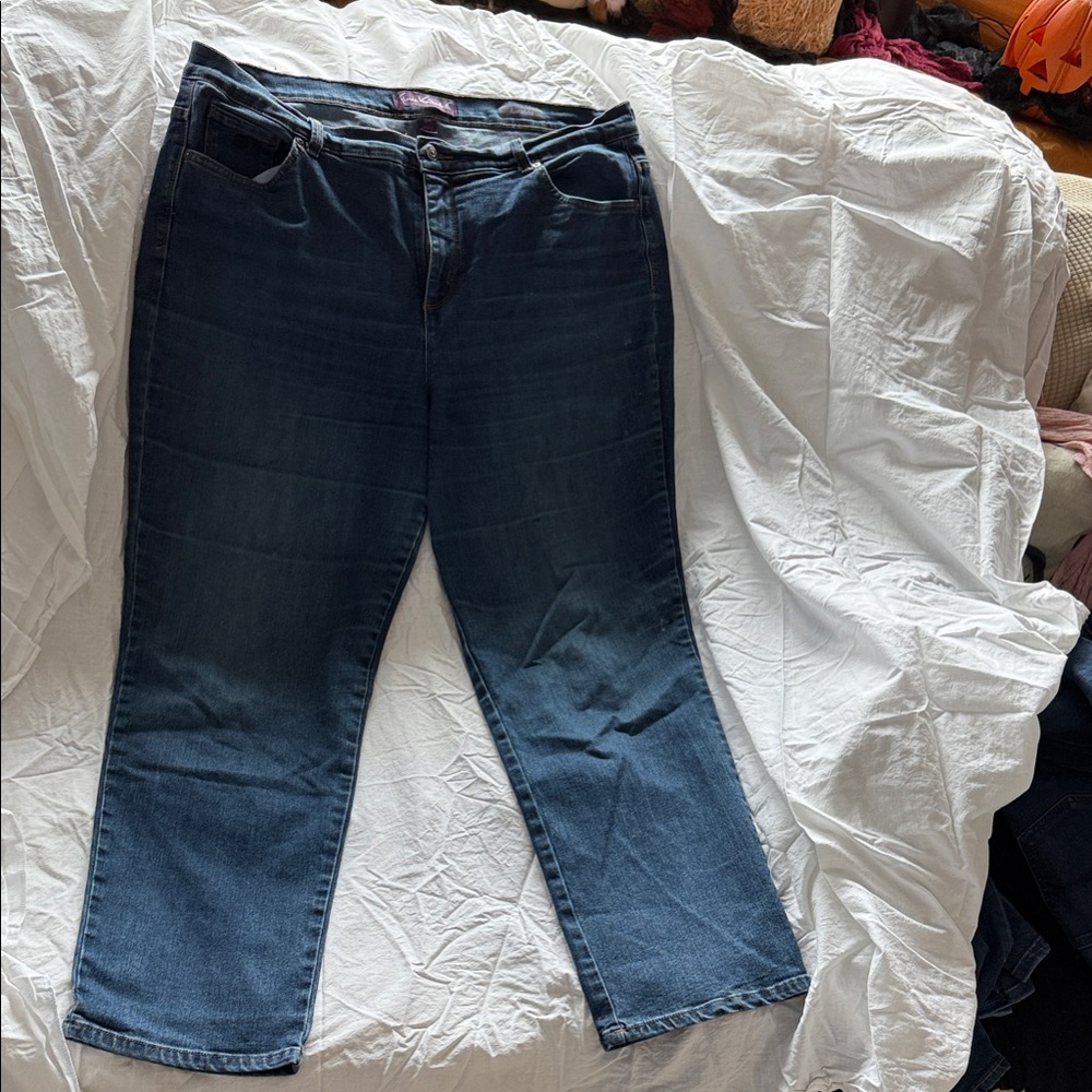 Gloria Vanderbilt Indigo Straight Leg Jeans